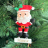 Merry Santa- Felt Ornament