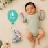 Daydream Baby Milestone Plaques