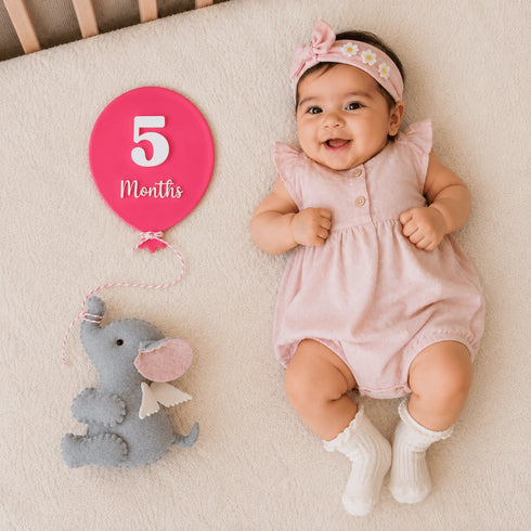Daydream Baby Milestone Plaques