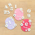 Wildflower Baby Milestone Plaques