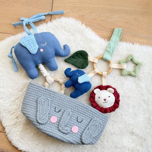Elephant Adventures Newborn Gift Basket