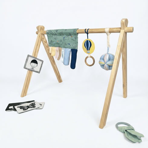Montessori Playgym With Accessories