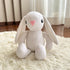 Rio the Bunny Plush Toy