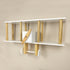 Airplane Shelf