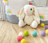 Rio the Bunny Plush Toy