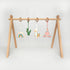 Baby Nursery Play Gym - Little Llama